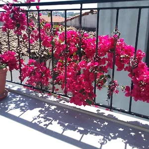  Hotel Casa Magnolia Boutique